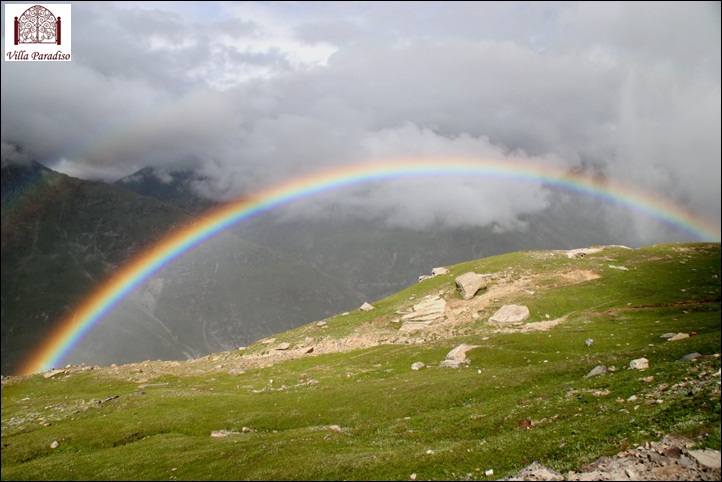 Summer Monsoon Special